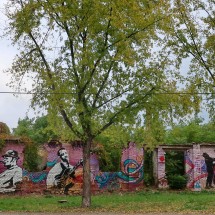 Another beautiful nural